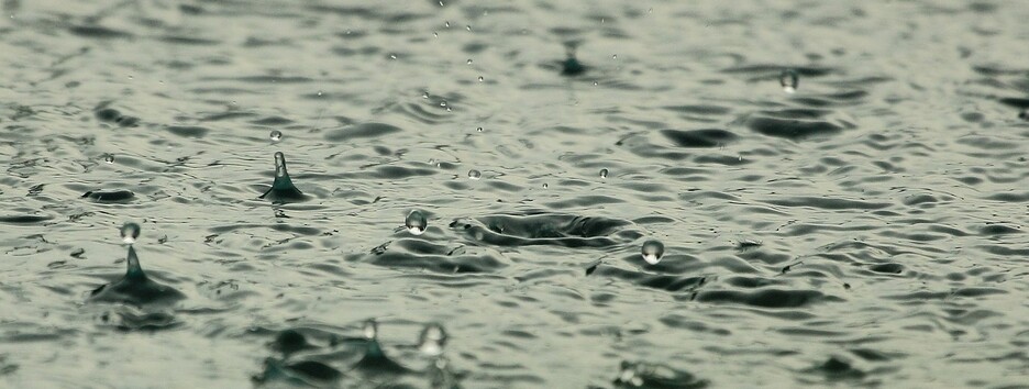 Свежо и почти сухо: какой будет погода в Украине в понедельник