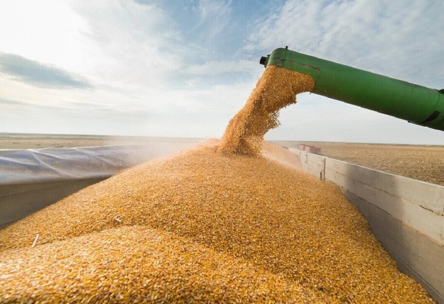 Зернова угода - Фінляндія виділила 7 млн євро на транспортування зерна до Африки - фото 1
