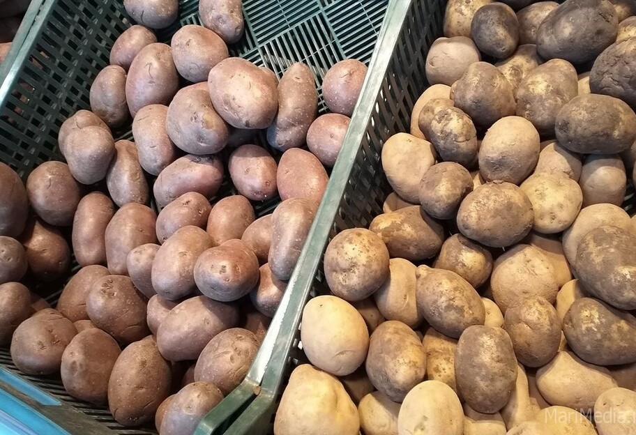 Ціна на картоплю в Україні в листопаді – продукт подорожчав на 26 відсотків - фото 1