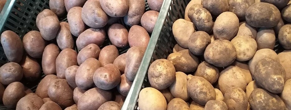 В Украине подорожал картофель: цена выросла на 26%