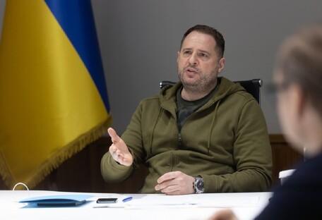Руководитель ОП Ермак провел онлайн-встречу с украинскими и международными правозащитниками: подробности переговоров