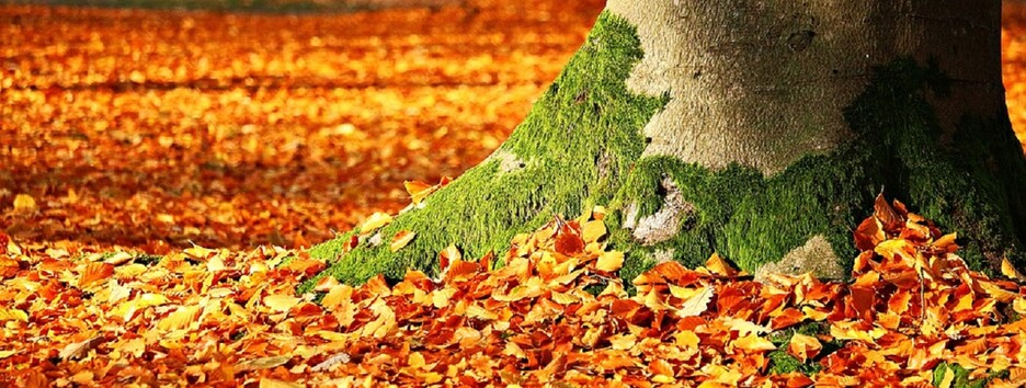 Синоптик розповіла про погоду на вихідних і попередила про серйозні зміни наступного тижня