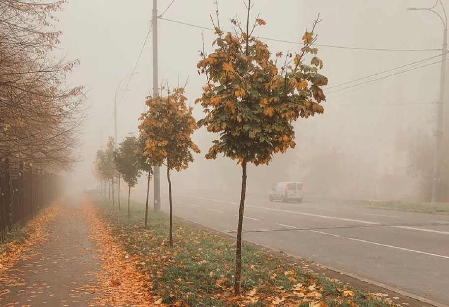 Погода в Украине 12 ноября - синоптики дали прогноз на субботу  - фото 1