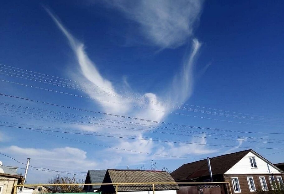 Облако в виде голубя над Воронежской областью - россияне видят знаки, которых нет - фото 1