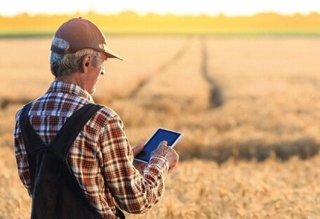 Как государство и западные партнеры помогают украинским фермерам: актуальные программы 