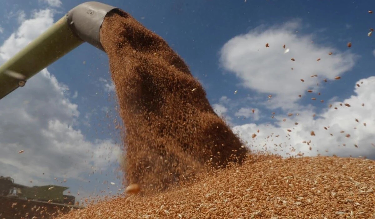 Россияне вывезли из оккупированных территорий миллион тонн зерна, – мэр Мелитополя