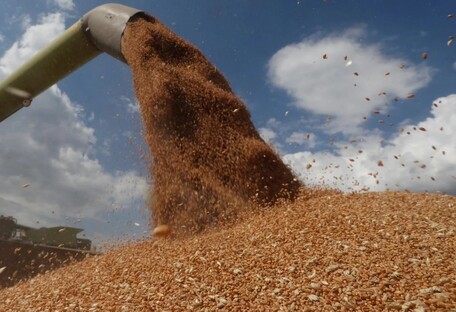 Росіяни вивезли з окупованих територій мільйон тонн зерна, – мер Мелітополя