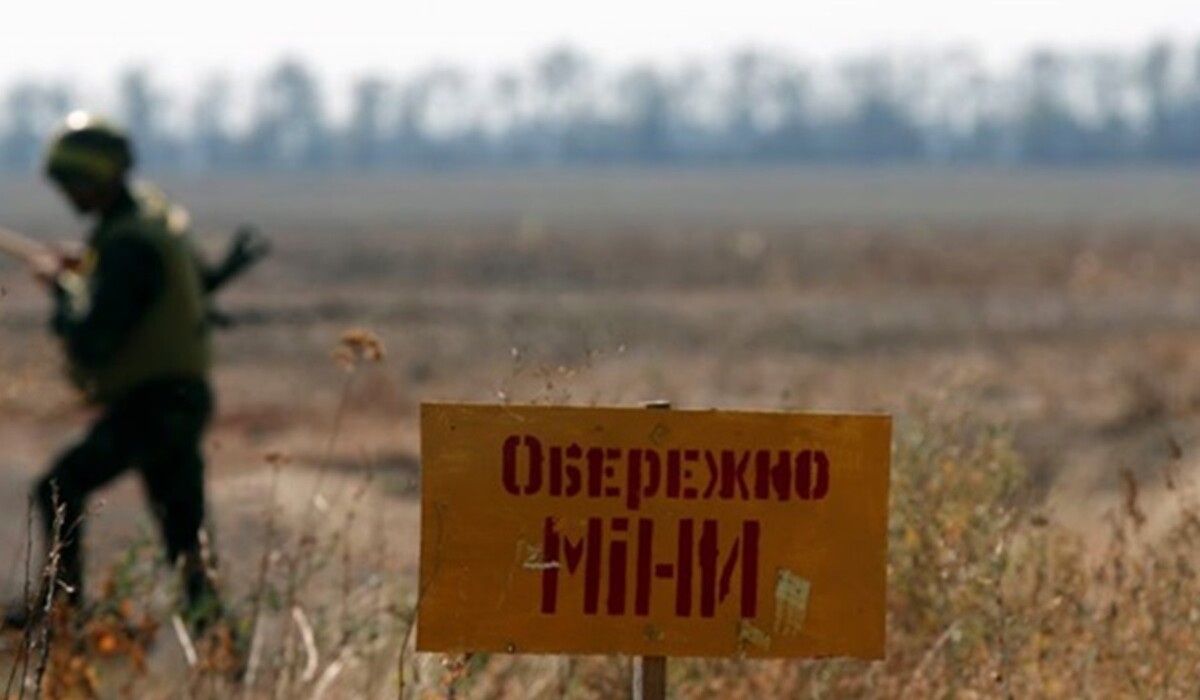 Только 10% деоккупированной Херсонщины можно назвать безопасной от мин, – Соболевский