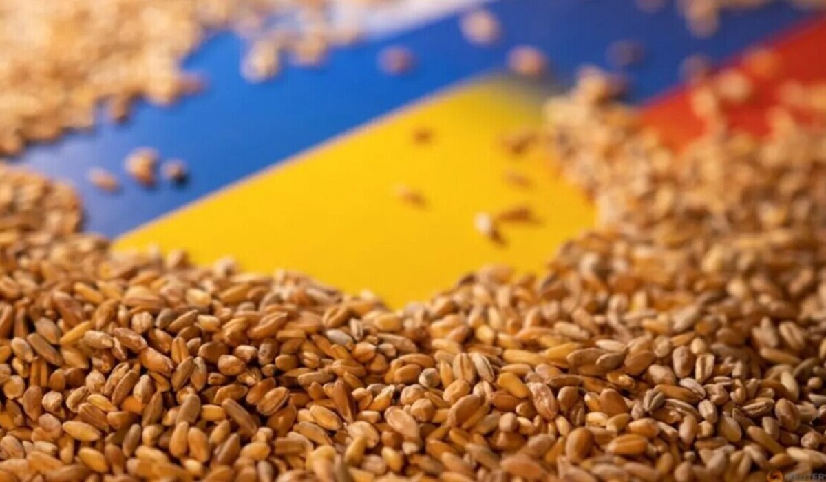 Обсяги роботи зернової ініціативи значно впали, – Братчук