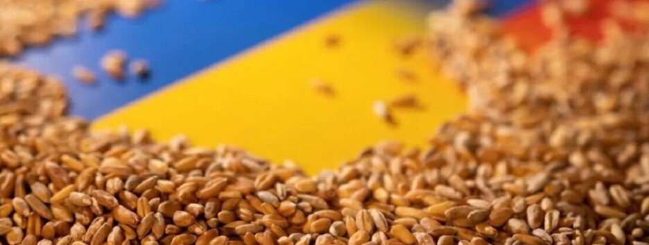 Обсяги роботи зернової ініціативи значно впали, – Братчук