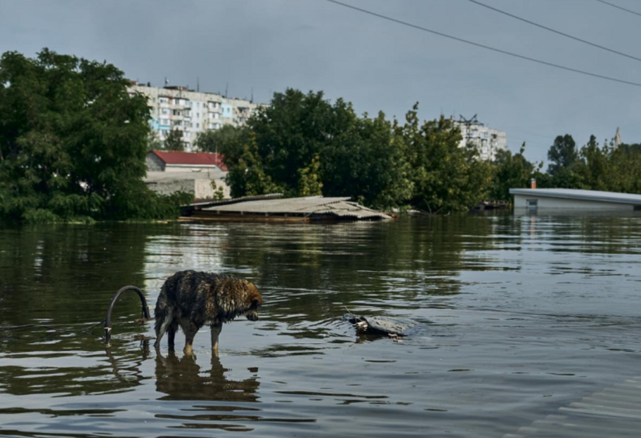 Підрив Каховської ГЕС - до 19 червня в`їзд до мкрн Корабел у Херсоні обмежено  - фото 1