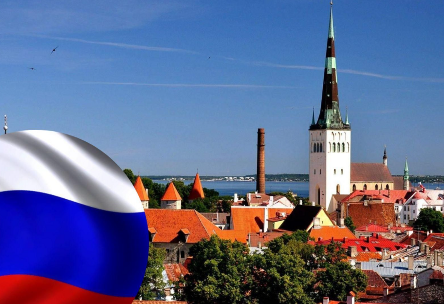 Уряд Естонії використає заморожені активи росії для підтримки України - фото 1