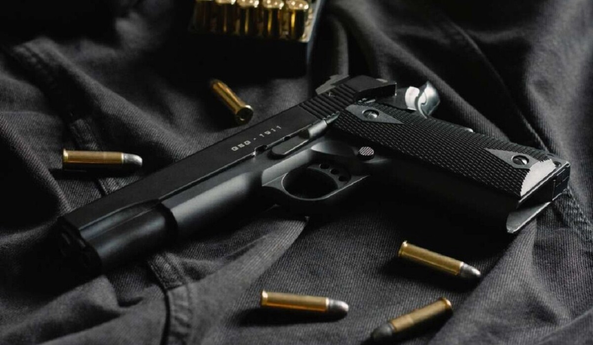 В МВД рассказали, сколько человек получили разрешение на оружие