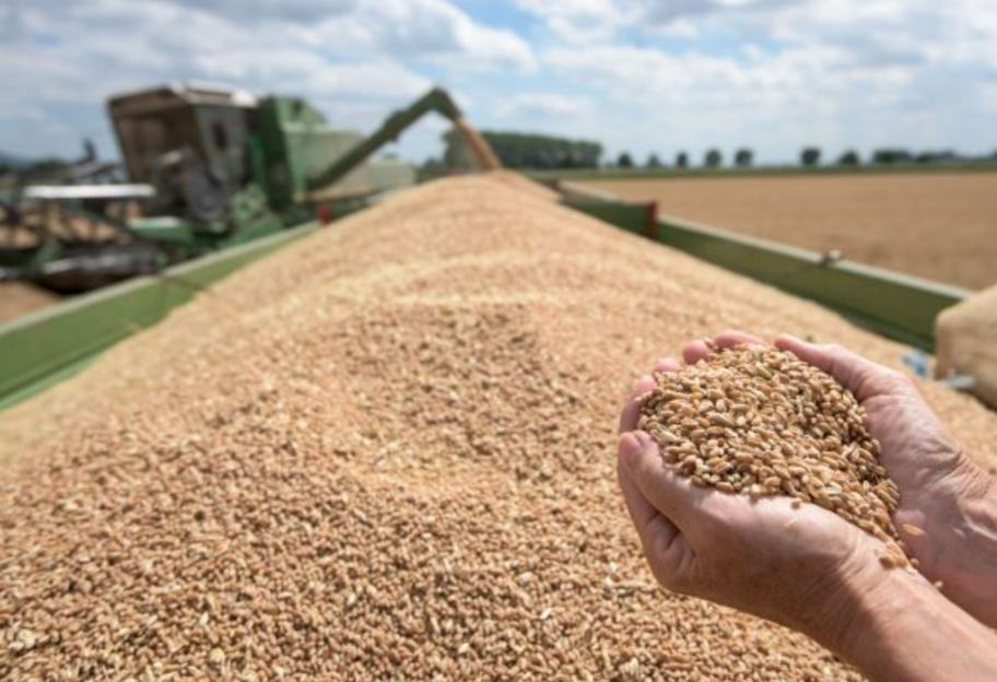Украина планирует накормить 600 млн человек по всему миру за счет экспорта продовольствия - фото 1