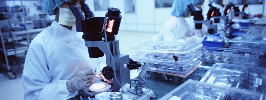 Ученые разработали первый препарат для восстановления сердечной мышцы