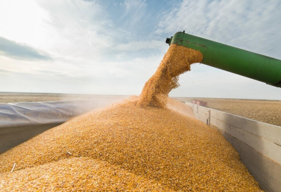 Вихід рф із зернової угоди - ЄС потрібно збільшити сухопутній вивіз українського зерна, заявив Борель  - фото 1