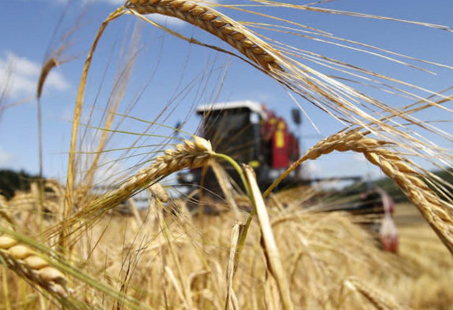 Украина в августе сможет нарастить экспорт зерна – УЗА - фото 1