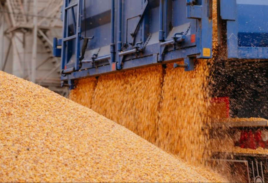 Угорщина просить Брюссель продовжити заборону імпорту українського зерна після 15 вересня - фото 1