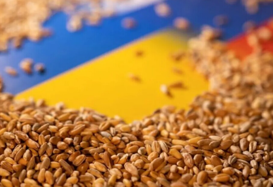 Венгрия хочет ввести запрет на импорт всех импортируемых продуктов из Украины - фото 1