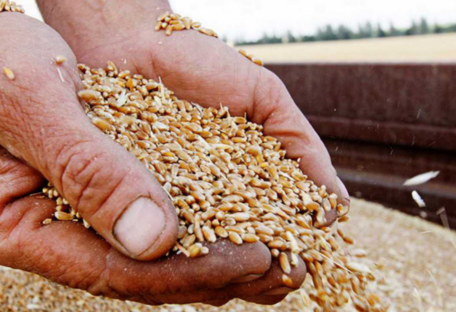 росія викрала близько 6 млн тонн українського зерна, зібраного торік - підрахунки Конгресу США