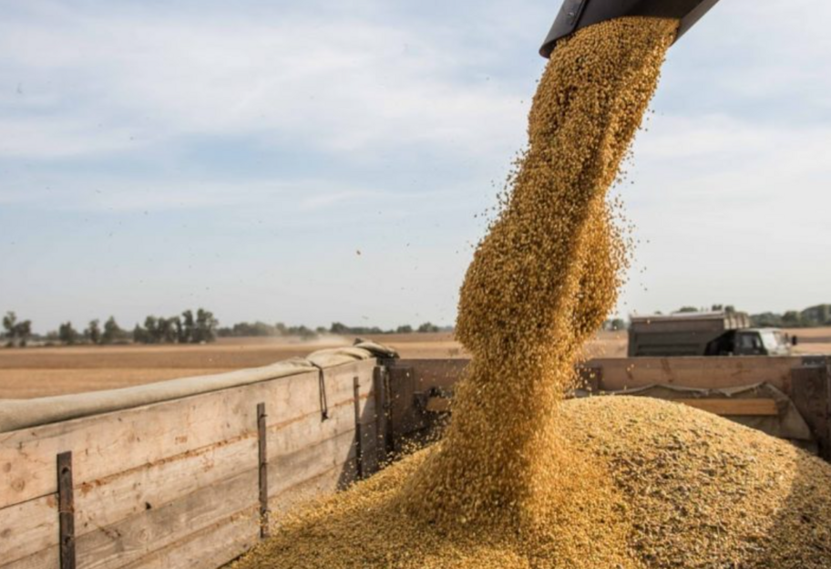 Вихід рф із зернової угоди - український тиск щодо агроімпорту переходить межі, заявив міністр Польщі - фото 1