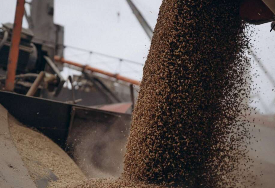 Подовження заборони на імпорт зерна - Україна хоче звернутися до арбітражу СОТ - фото 1