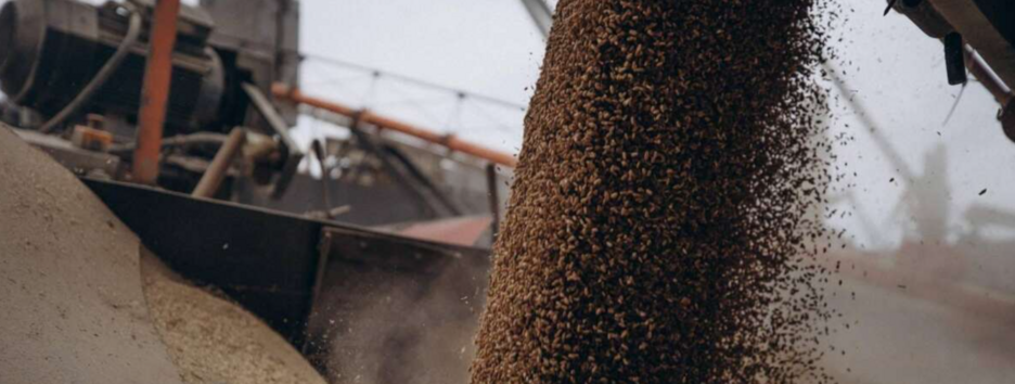 Україна звернеться до арбітражу СОТ через ймовірне подовження заборони на імпорт зерна: подробиці 