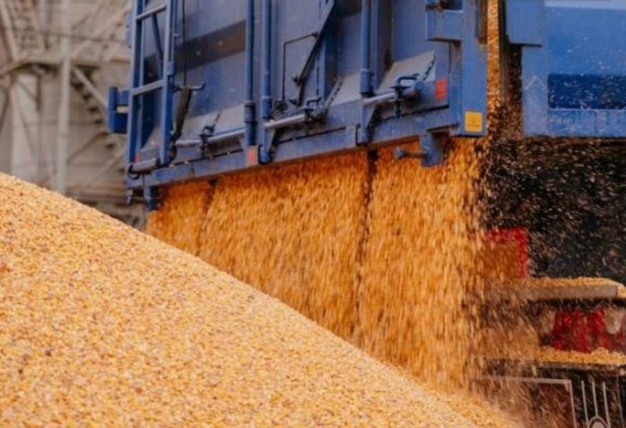 Польща подовжила заборону на імпорт зерна - Болгарія має намір її скасувати  - фото 1