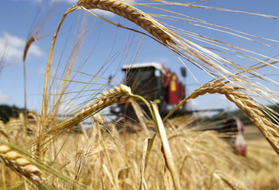 Большинство стран ЕС против продления эмбарго на импорт зерна из Украины, пишет Politico - фото 1