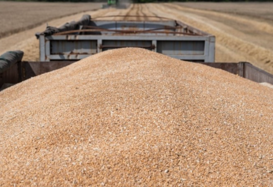 Эмбарго Польши на импорт агропродукции - Украина подаст иск в ВТО - фото 1