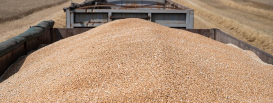 Ембарго на імпорт зерна: Україна подасть позов до СОТ