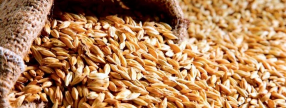 Ембарго на імпорт зерна: Румунія може запровадити тимчасову заборону 