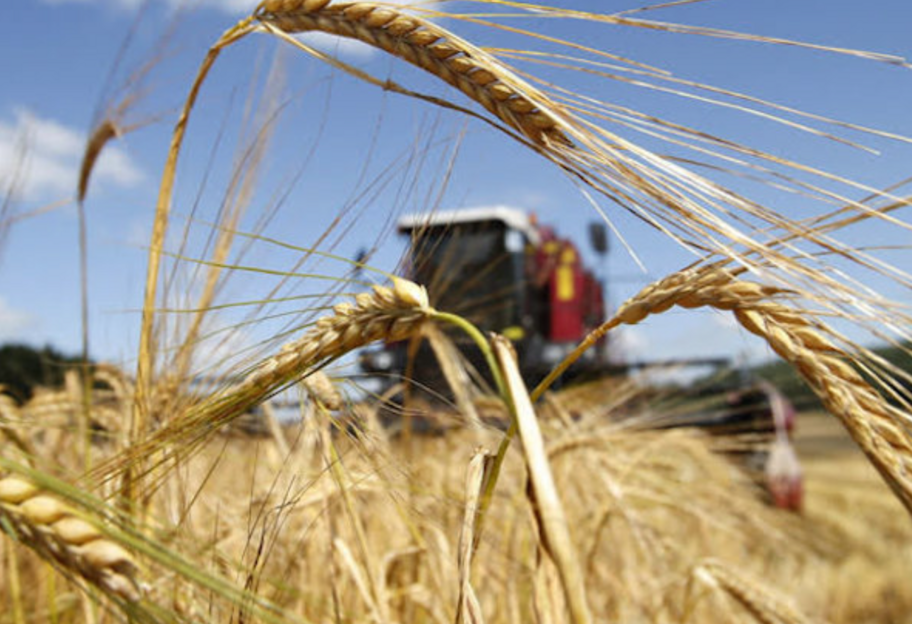 Хорватия отказывается от импорта украинского зерна – заявление премьер-министр Андрея Пленковича - фото 1