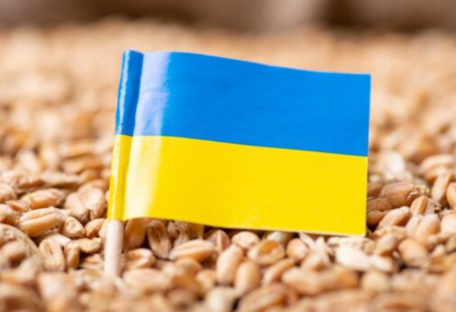 Україна запровадила ліцензування на експорт зерна до Східної Європи