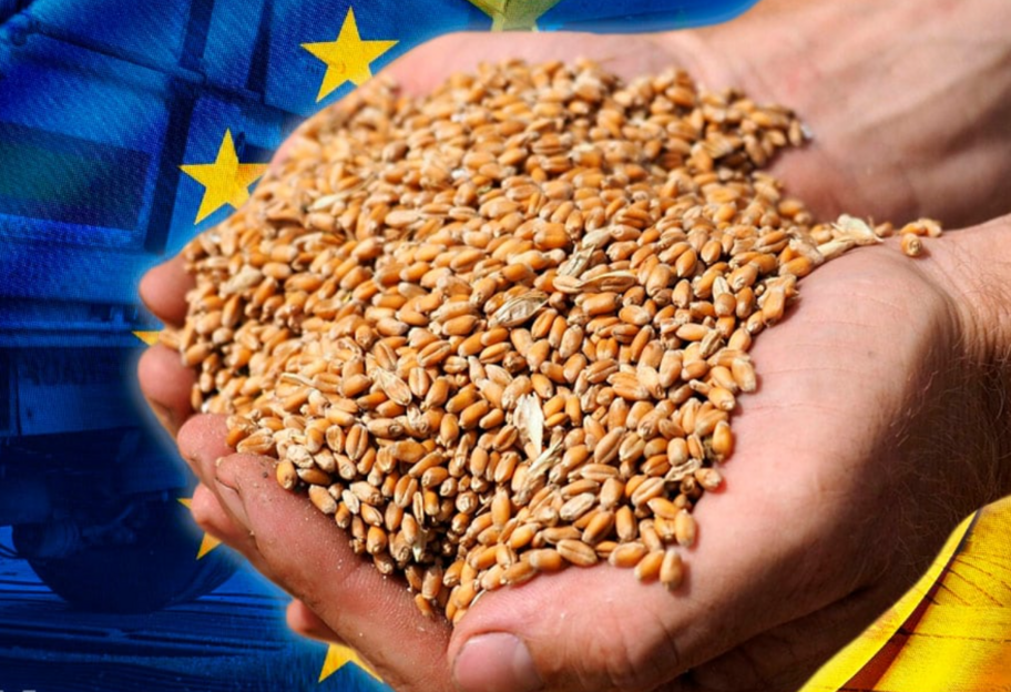Зерновой конфликт – Еврокомиссия будет представлять государства ЕС в ВТО, пишут польские СМИ - фото 1