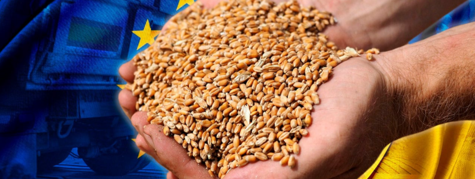 Зерновой конфликт: стало известно, кто будет представлять европейские государства в ВТО