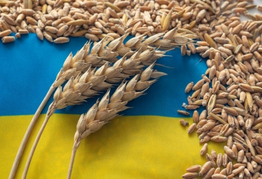 Ембарго на екпорт українського зерна - Угорщина і Польщі пропустили зустріч координаційної платформи  - фото 1