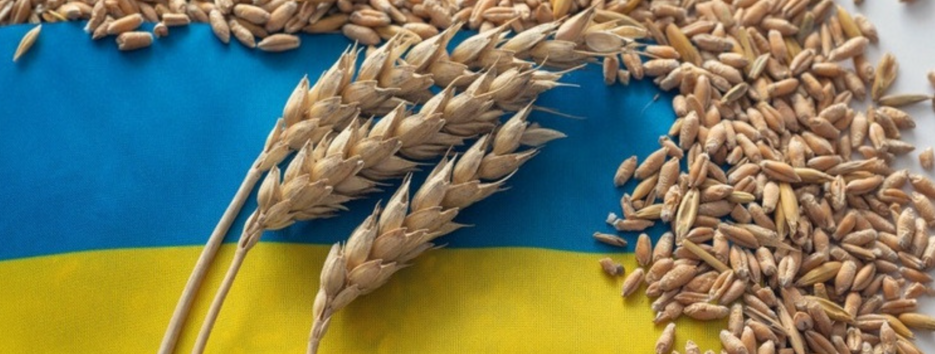 Две страны ЕС пропустили встречу по экспорту украинского зерна – о каких речь идет