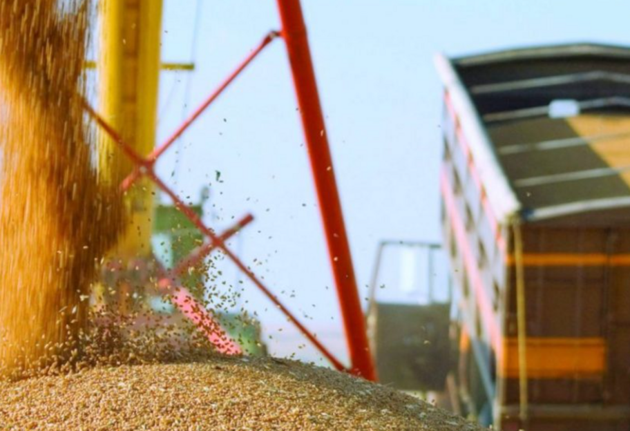 Срощенный транзит зерна в один из портов Балтии - Украина договорилась о новых условиях - фото 1