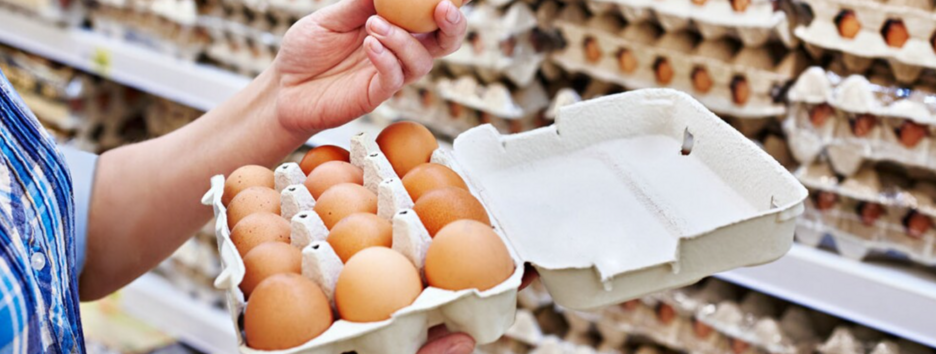 В Украине снова дорожают яйца: аналитик дал неприятный прогноз до конца осени