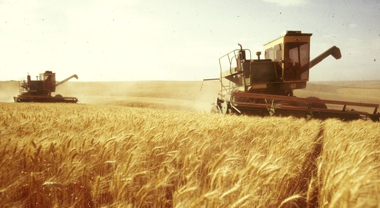 Европарламент не хочет увеличивать квоты на зерновые для Украины