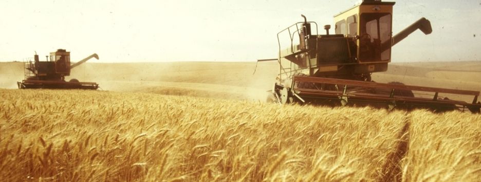 Европарламент не хочет увеличивать квоты на зерновые для Украины