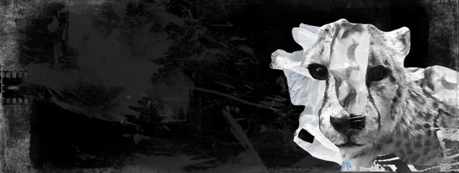 Что посмотреть на Docudays UA: гид по фестивалю документального кино