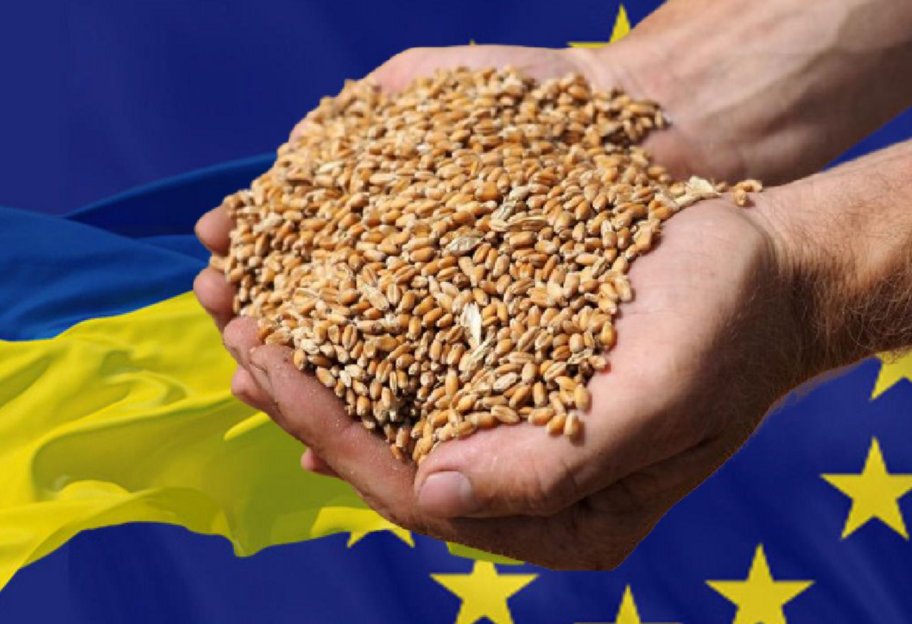 Заборона на імпорт зерна з України - Словаччина продовжить обмеження - фото 1