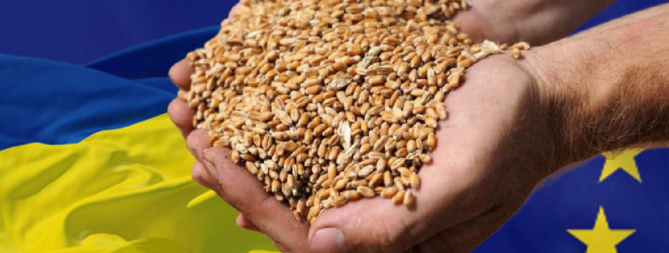 Словаччина заявила про подовження заборони на імпорт українського зерна  
