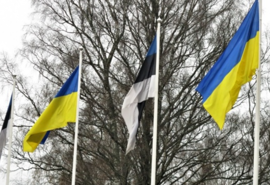Эстония предоставляет Украине новый пакет военной помощи на 80 миллионов евро - фото 1