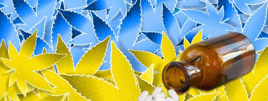 В Украине появится центр лечения коноплей: что это и зачем