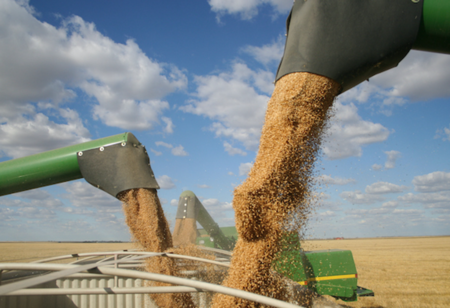 Импорт российского зерна – балтийские страны предлагают ЕС ввести запрет - фото 1