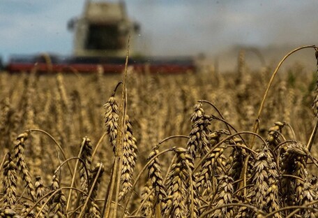 С начала года аграрии получили 8,6 млрд грн кредитов