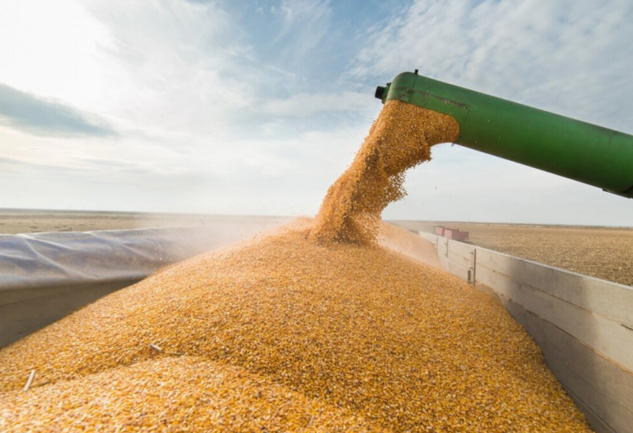 Україна може вдвічі збільшити експорт продовольства - фото 1